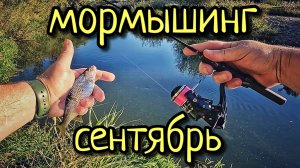 МОРМЫШИНГ, В СЕНТЯБРЕ КАК ЛЕТОМ !!! ВЕЧЕРНИЙ ВЫХОД С МОРМЫШИНГОМ !!!