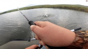 Наткнулся на ОГРОМНЫХ ОКУНЕЙ (АРХИВ 2020)