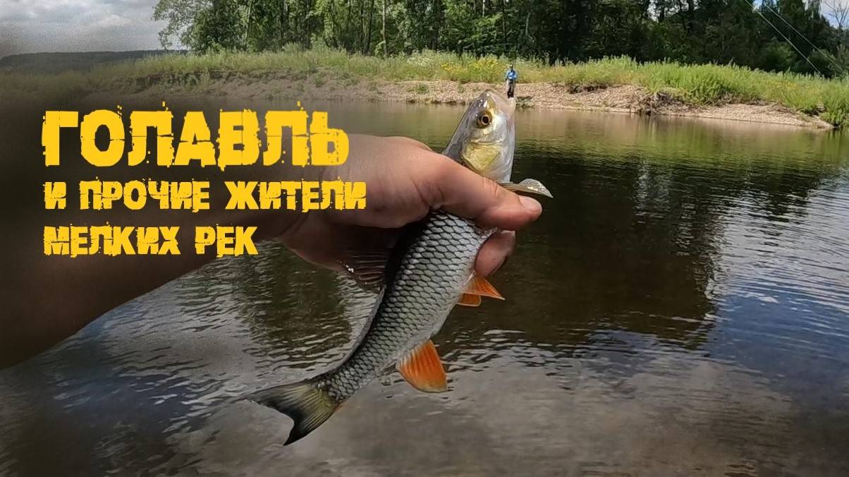 Подловили голавля на "микруху", р. Сылва