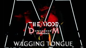 The MODE Depeche Mode Experience - Intro show & Wagging tongue (Live Tribute Cover)