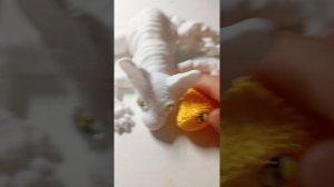 обзор на все мои 3D игрушки 🤪👇🏻