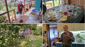 ЛЁШИК ОТДЫХАЕТ, А У МЕНЯ ЯБЛОКИ. ВАРЮ ДЖЕМ ИЗ ЯБЛОК С АПЕЛЬСИНАМИ.