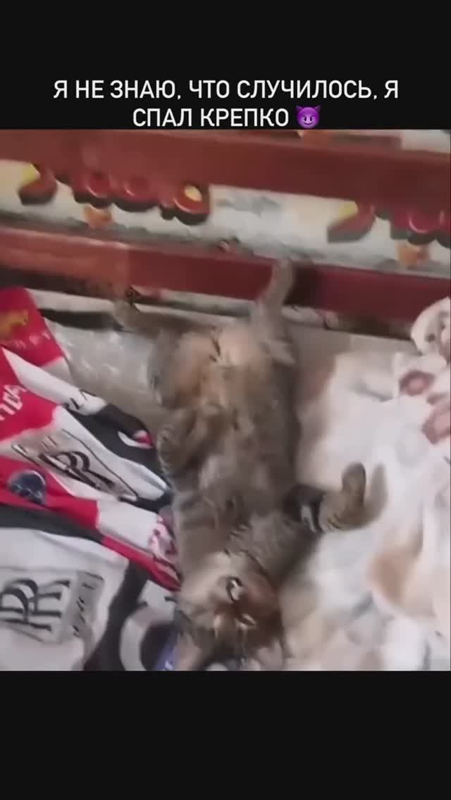 Это ни я 😨 смотреть онлайн