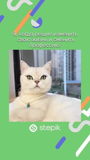 Ссылка на каталог в описании видео👇 А промокод STEPIKRUTUBE25 дает скидку 15% на любой курс Stepik смотреть онлайн