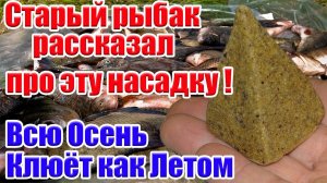 Клюёт как Летом! Лови По Холодной Воде Карася Карпа Леща Плотву