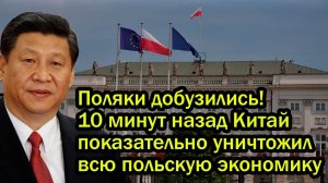 Поляки добузились! 10 минут назад Китай показательно уничтожил всю польскую экономику