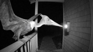 Я СНЯЛ КАК ДИНОЗАВРЫ ПРИХОДЯТ К МОЕМУ ДОМУ И ЗВОНЯТ МНЕ В ДВЕРЬ! АХАХАХ МЕНЯ НАЗЫВАЛИ ПСИХОМ АЗОАОАО