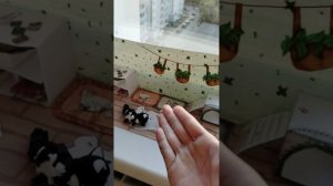 Три новых питомца)))Дайте им имена🔥