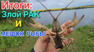 ⚡️Мешок РЫБЫ и Бешеного РАКА «взяли» на Раколовку🔥 Итоги ПЛАТНОЙ РЫБАЛКИ!! Пензенская область!