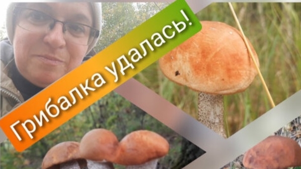 Тихая охота. За грибами в сентябре смотреть онлайн