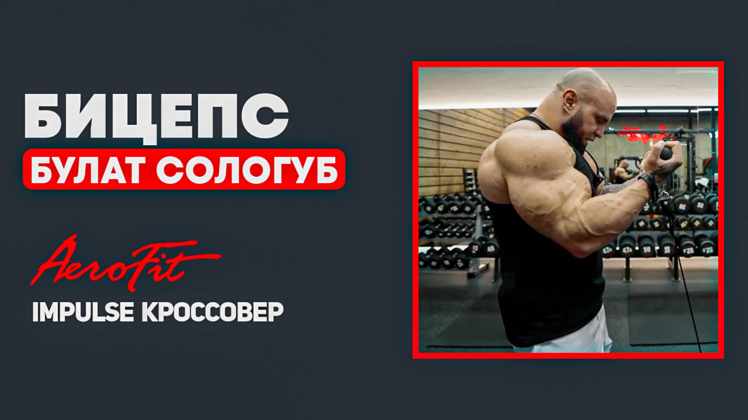 Техника БИЦЕПСА в Кроссовере от Булата Сологуба Impulse IT95 смотреть онлайн