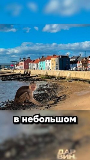 Болтун находка для шпиона