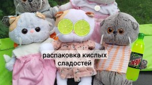 BIG РАСПАКОВКА КИСЛЫХ СЛАДОСТЕЙ 🫶 ЛИЛИ И БАСИКИ БАСЯТА КОТ БАСИК БАСИКИ ЛИЛИ ЛИЛИШКИ