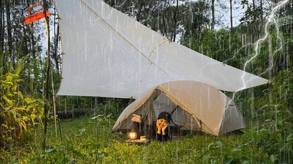 ОДИНОЧНЫЙ КЕМПИНГ В ГУСТОМ ТРОПИЧЕСКОМ ЛЕСУ☀️РАССЛАБЛЯЮЩИЙ КЕМПИНГ В УЮТНОМ ТРОПИЧЕСКОМ ЛЕСУ☀️