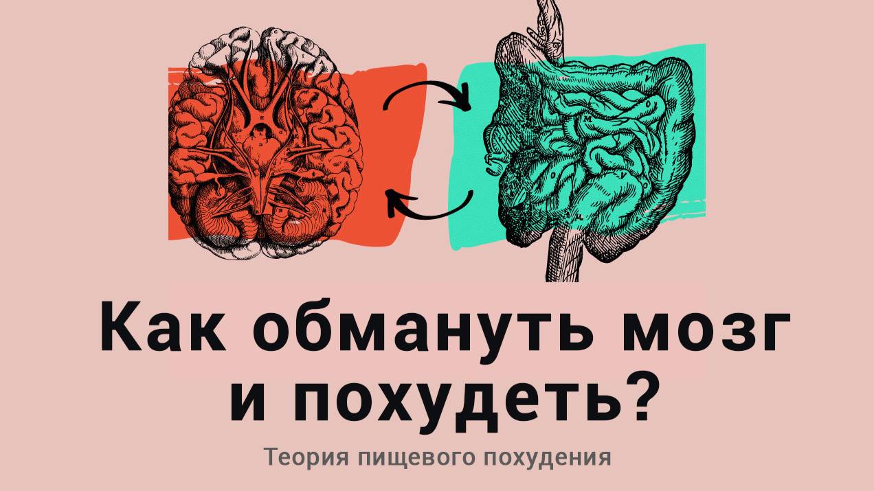 Как похудеть? Почему не получается? Теория пищевого поведения. смотреть онлайн