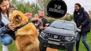 У Артёма угнали машину! Сестра брата Егора отомстила за страх и унижения! Пёс Кубик в шоке!