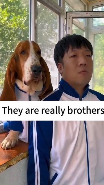 собаки очень похожи на своих хозяев😂