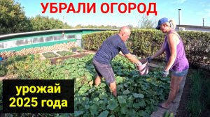 Подготовили огород к зиме. Урожай 2025 года.