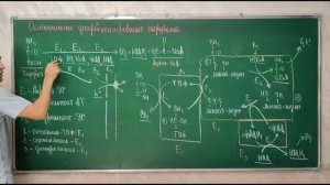 Биохимия Углеводов : Гликолиз И ПФП