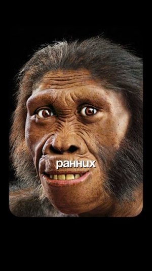 Как развивалось Человечество? | Глеб Соломин, Дробышевский