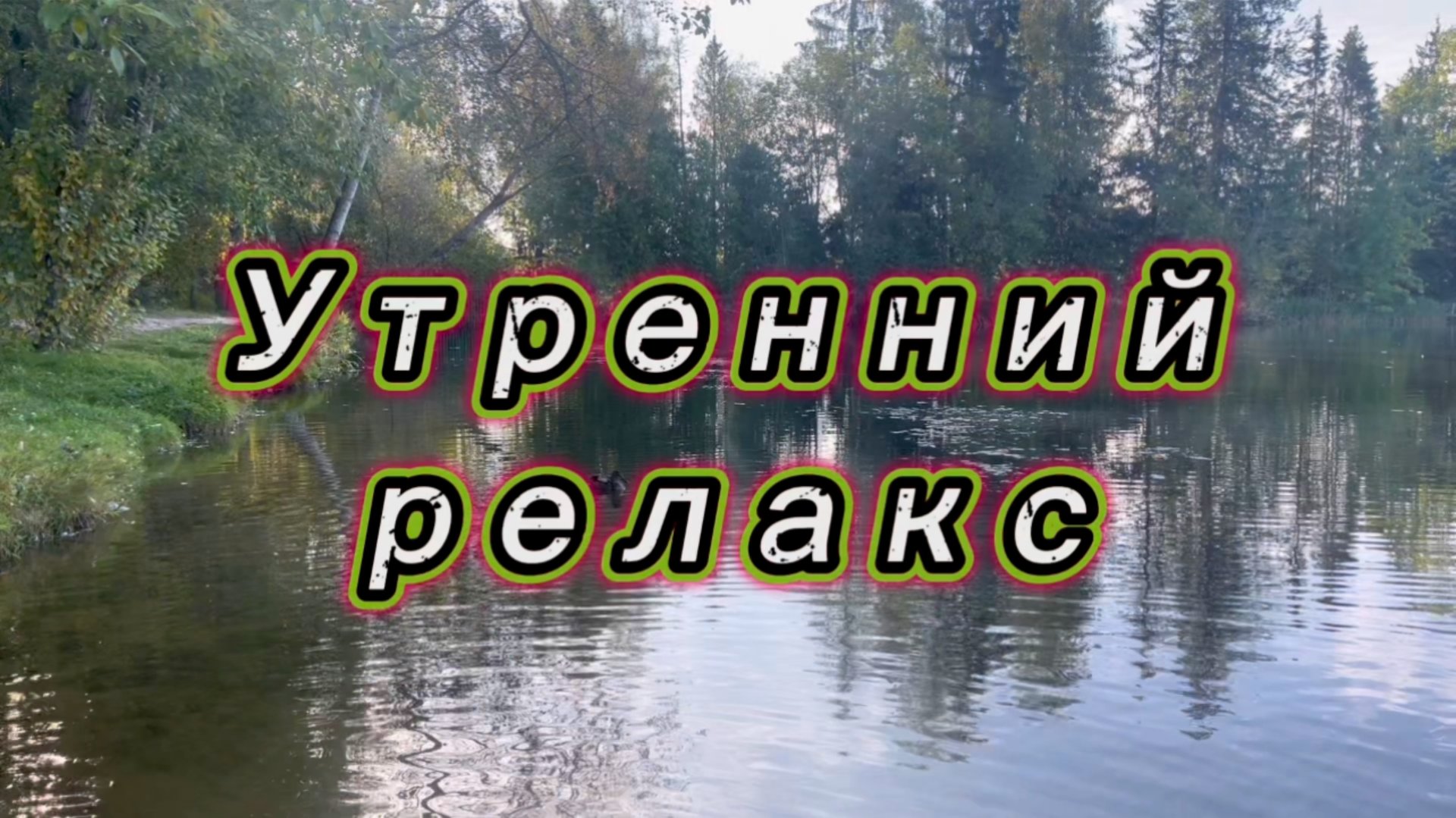 Утренний релакс. Птички, уточки и русская природа