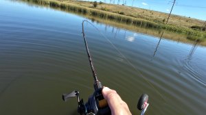 ДАВНО Я ТАКИХ НЕ ЛОВИЛ! Рыбалка на спиннинг осенью