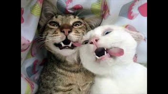 Разговоры с коллекторами 94 смотреть онлайн