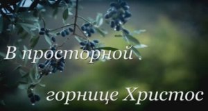 В просторной горнице Христос / песня под гитару/