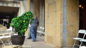 Bushman Prank_ A Lesson on Showing Grace.