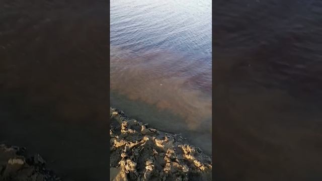 ТЕСТ САМОДЕЛЬНОЙ МАНДУЛЫ  ПО ЛОВЛЕ ОКУНЯ.mp4