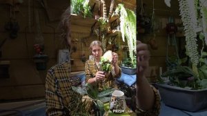 Запись стрима с ютуба от 16.09.25. Сидим в цветочне! Потом привезли морозилку