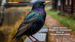 «Прощальная песня» - Рафаиль Занединов