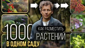 Так выглядит ИДЕАЛЬНЫЙ сад — 1000 растений на одном участке и все сочетаются!