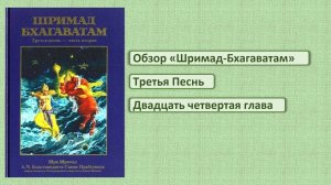 Обзор ШБ 3.24