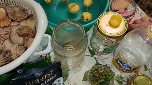 МАРИНУЮ ГРИБЫ.