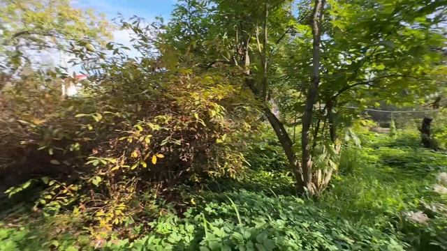 Дом в снт Дзержинец ,Покровка