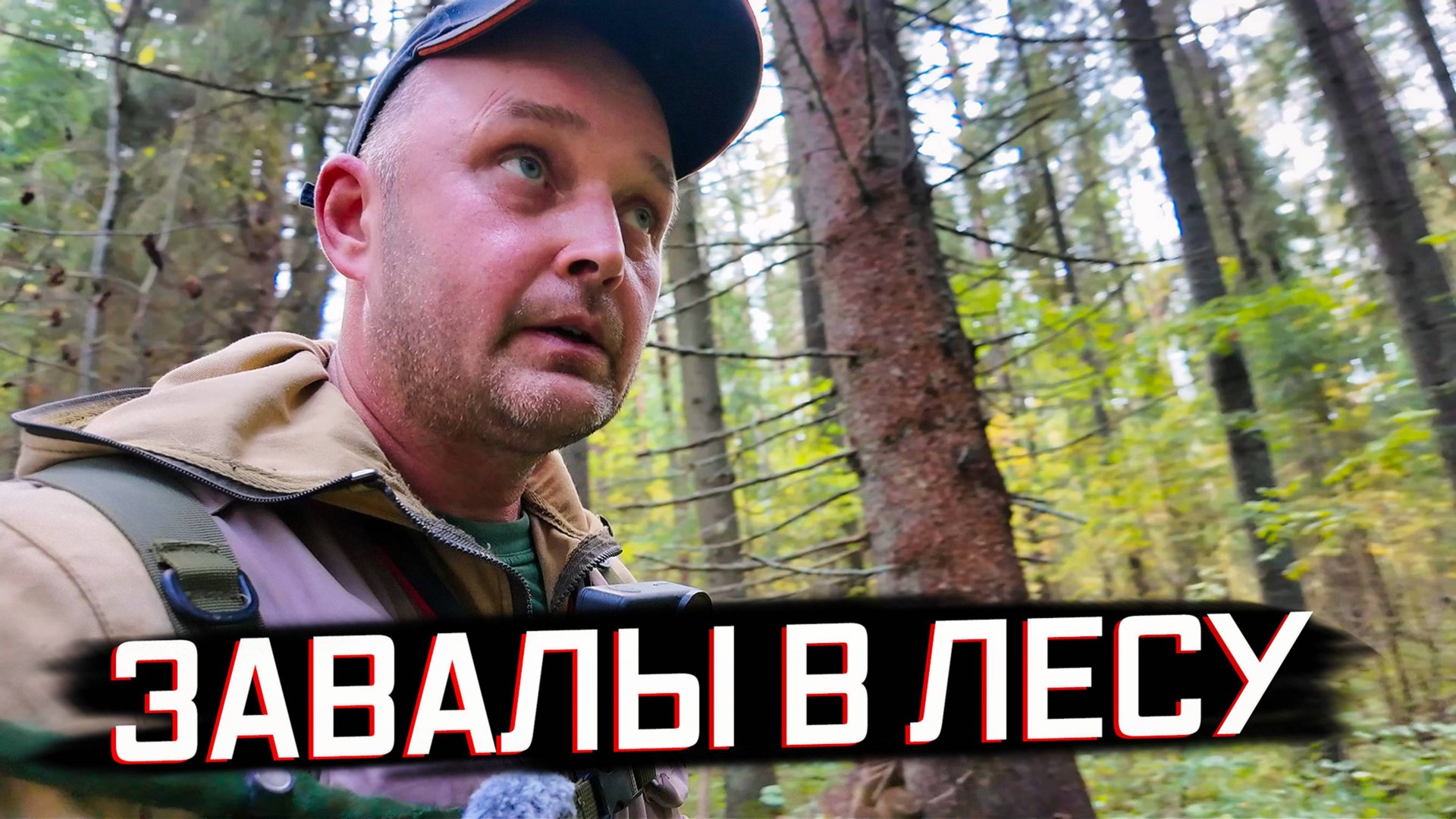 ОЧИЩАЮ ЛЕСНЫЕ ТРОПЫ К РЕКЕ | Бобры перегородили путь смотреть онлайн