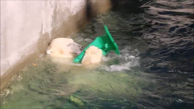 Кай сам получил удовольствие от игры и порадовал посетителей 15.09.2025 смотреть онлайн