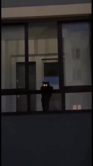 Город может спать спокойно ☺️#Мск #МО