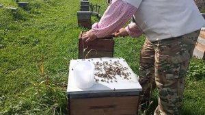 тест на варроа, пропан.