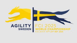 AWC 2025 | Третий день 19.09