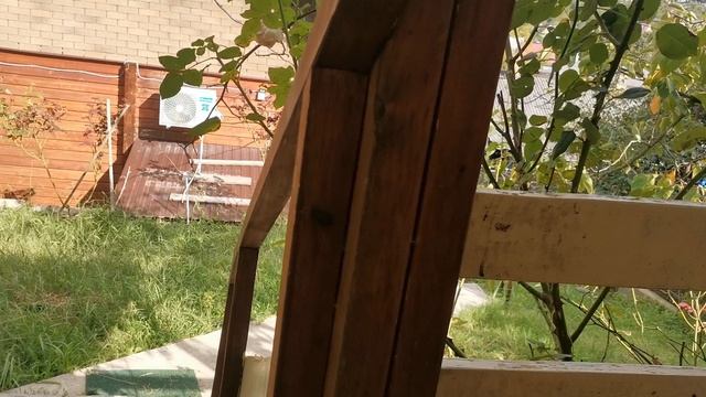 СОЧИ. ГОРНОЕ ЛОО. ДЕНЬ. 17.09.2025 смотреть онлайн