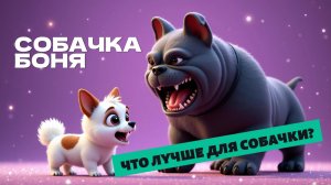 СОБАЧКА БОНЯ 🐾💥 ЧТО ЛУЧШЕ ДЛЯ СОБАЧКИ?🐶🐕