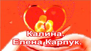 Калина. Елена Карпук.