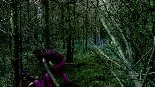 Восьмой Континент