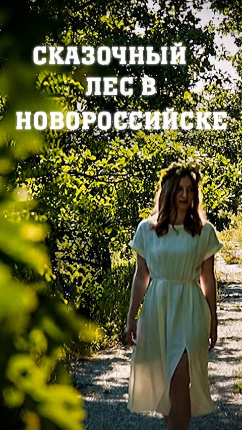 Добро пожаловать в сказочный лес… смотреть онлайн