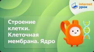 Биология 10 класс. Строение клетки. Клеточная мембрана. Ядро