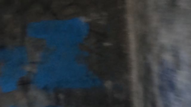 CQB игра,заброшка,лес