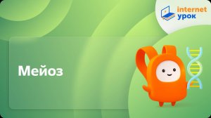 Биология 10 класс. Мейоз