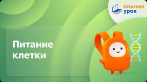 Биология 10 класс. Питание клетки